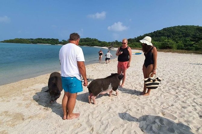 Pig Island Snorkeling & Sightseeing Tour By Speedboat From Koh Samui - Speedboat comfort and safety considerations