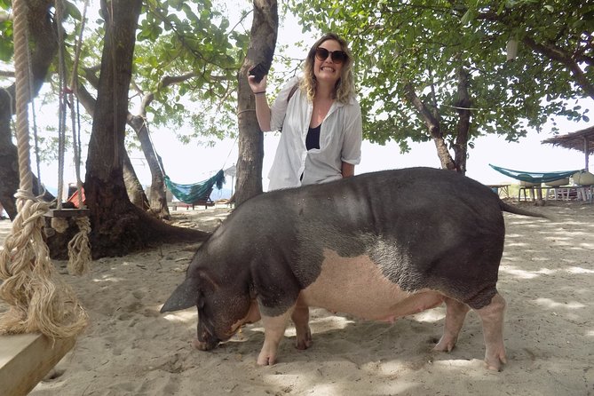 Pig Island Snorkeling & Sightseeing Tour By Speedboat From Koh Samui - Is $47.62 good value?