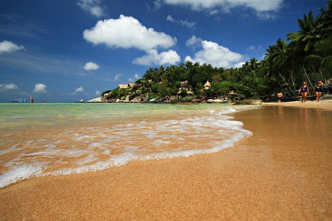 Pig Island Tour by Speedboat with Snorkeling - Key points to know before you book