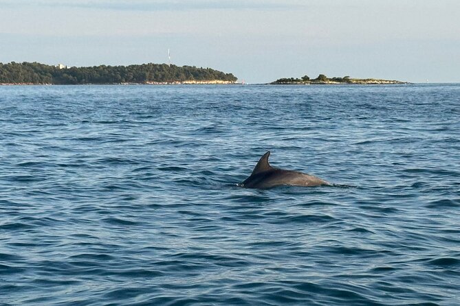 Porec Sunset Shared Cruise on Speedboat with Dolphin Sightseeing - How the timing works for an evening in Poreč
