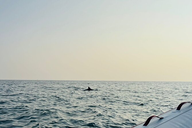 Porec Sunset Shared Cruise on Speedboat with Dolphin Sightseeing - Who gets the best value from this cruise