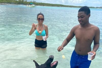 Powerboat and Snorkel Experience with Swimming Pigs and Turtles