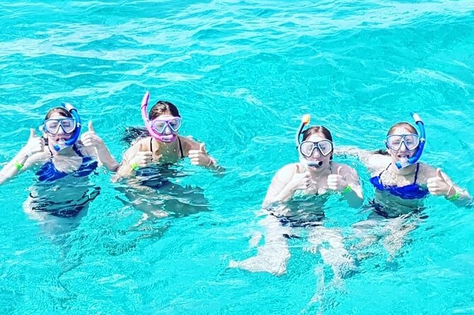 Powerboat and Snorkel Experience with Swimming Pigs and Turtles - Sandy Cay, beaches, and the Gilligan’s Island connection