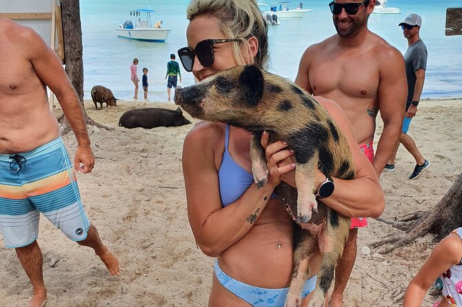 Powerboat and Snorkel Experience with Swimming Pigs and Turtles - What the crew adds to the day