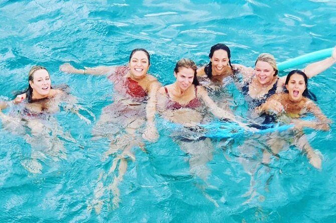 Powerboat and Snorkel Experience with Swimming Pigs and Turtles - Is $145 a fair price?