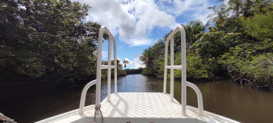 Preguicas River Speedboat Tour - Key points to know