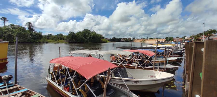 Preguicas River Speedboat Tour - Who will enjoy this river outing most
