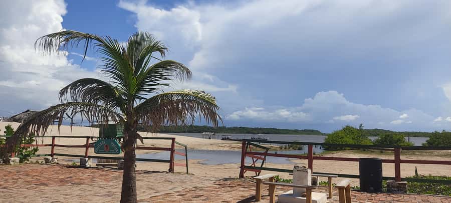 Preguicas River Speedboat Tour - Language, guide service, and group planning