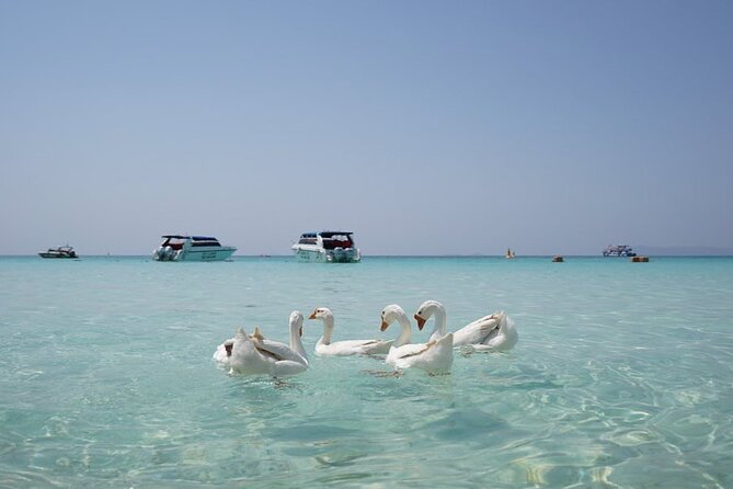 Premium Coral Island Pattaya by Speed boat - A fast start from Pattaya at 8:30 or 8:45