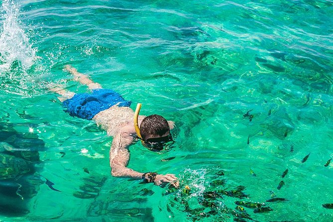Premium Tour to Phi Phi & Bamboo Island Tours by Speed boat - Pileh Bay for a shorter swim and snorkel