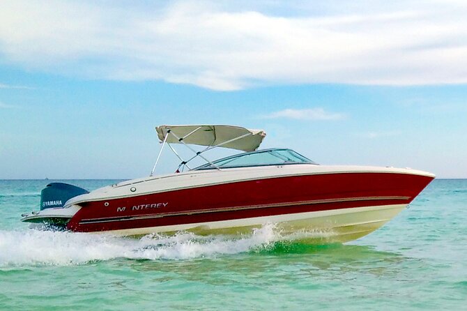 PRIVATE! | 4-hour Speed Boat Trip | Swim With Dolphins, Snorkeling & Island - Omo Gamaar and the value of a second reef