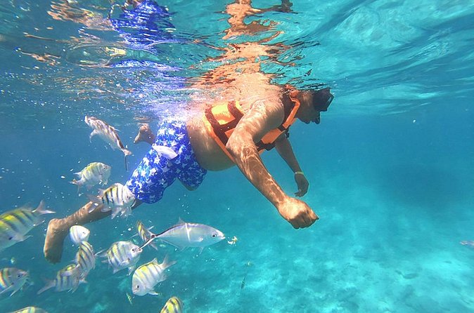 Private Activity Speedboat Ride and Snorkeling in Punta Cana - Snorkeling equipment and the calmer side of the trip
