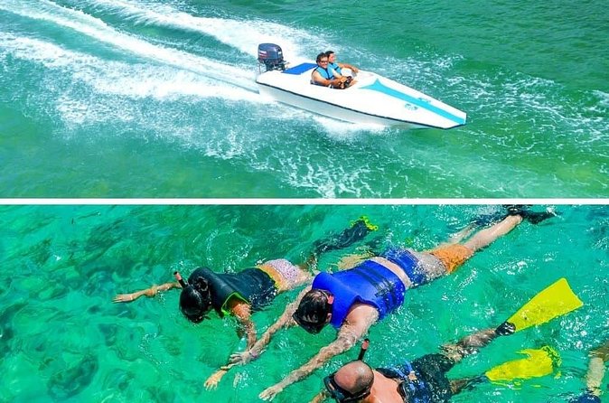 Private Activity Speedboat Ride and Snorkeling in Punta Cana - How the $75 price measures up