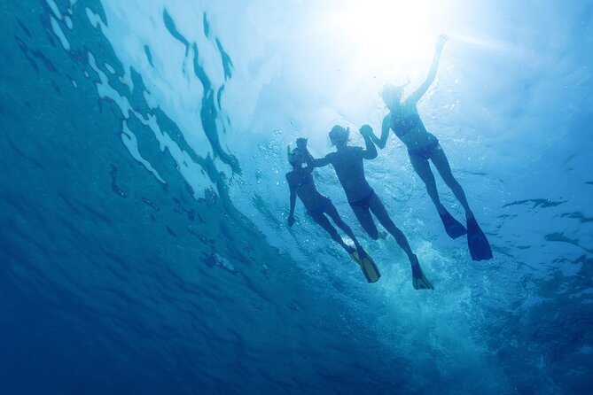 Private Blue Lagoon and Trogir Half-day Speedboat Tour from Split - Is the private price good value?