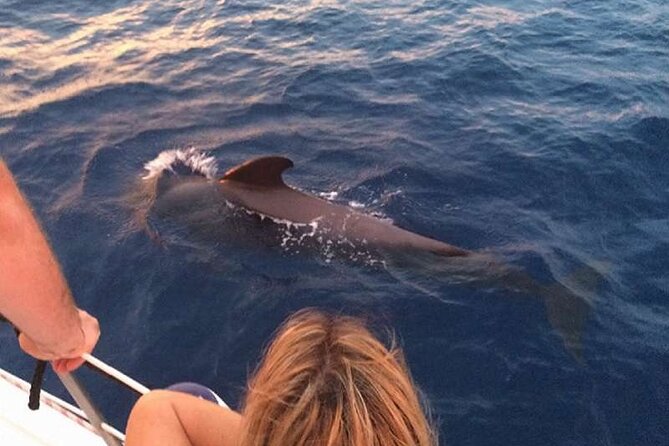 Private Glamorous Speedboat in Tenerife with Snacks & Drinks - Who should book this Tenerife boat trip?