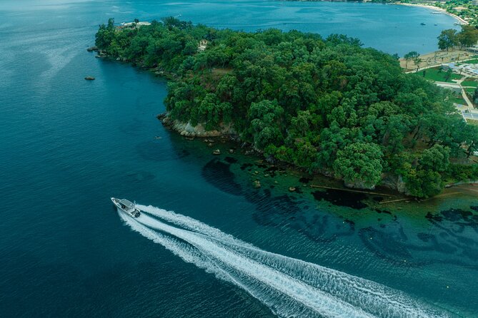 Private Half Day Cruise on a Speed Boat in Corfu island - The real value of $1,448.19