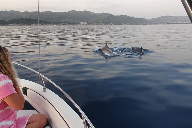 Private Local Guided Speedboat Tour in Dubrovnik Archipelago - Lopud village adds a land-based pause