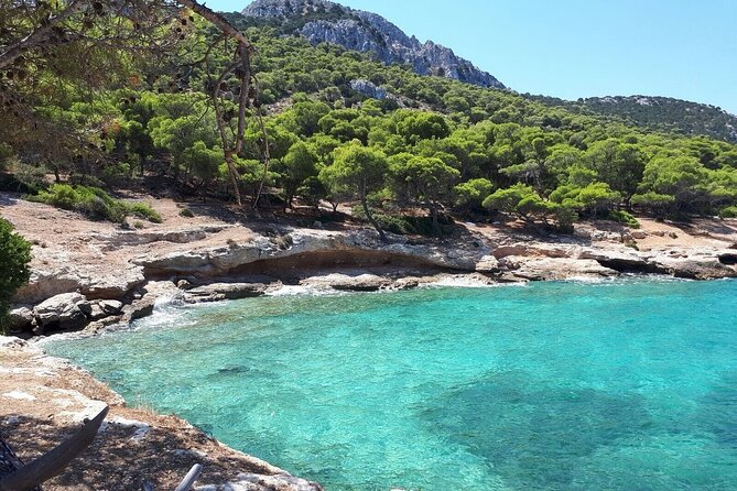 Private Luxury Powerboat Day Tour in Athens - Swimming and snorkeling in clear coastal water