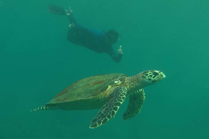 Private Phi Phi & 4 Islands Sunset Cruise by Speedboat - from Krabi - Bamboo Island, Viking Cave, and Bida Nok