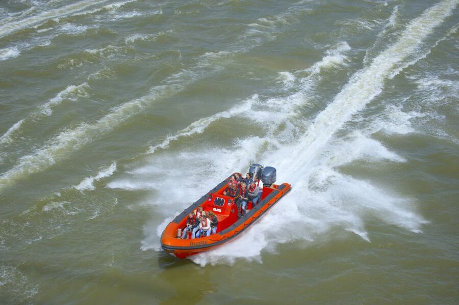Private RIB-experience - Wilton Harbor and offshore activity