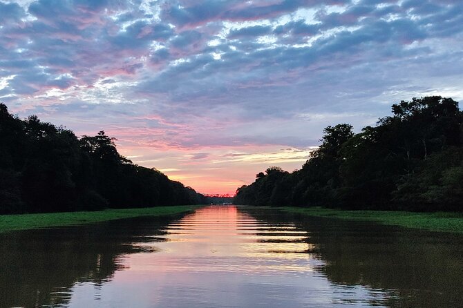 Private River Tour by Speedboat in the Amazon, Lily Pads & Nature - The Meeting of the Waters in ten minutes