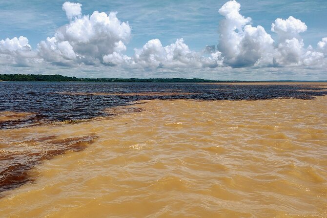 Private River Tour by Speedboat in the Amazon, Lily Pads & Nature - A raised walkway through the rainforest