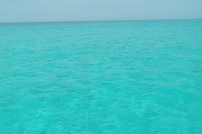 Private speed boat beach and bar hopping visiting Rose island - A four-hour escape from Nassau