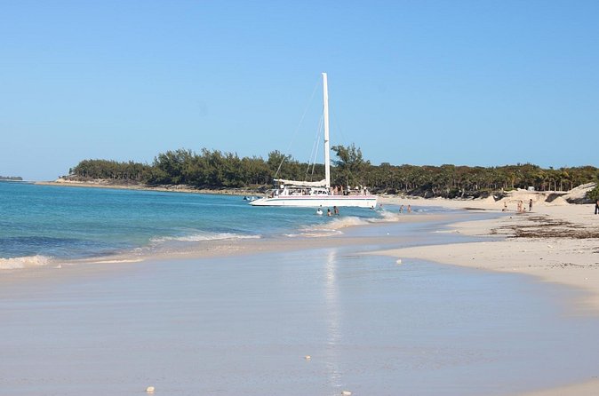 Private speed boat beach and bar hopping visiting Rose island - Snorkeling and possible wildlife sightings