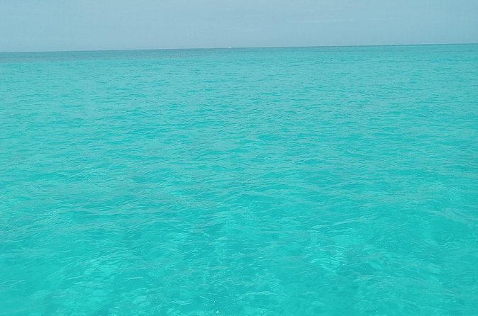 Private speed boat beach and bar hopping visiting Rose island - How the guides shape the experience