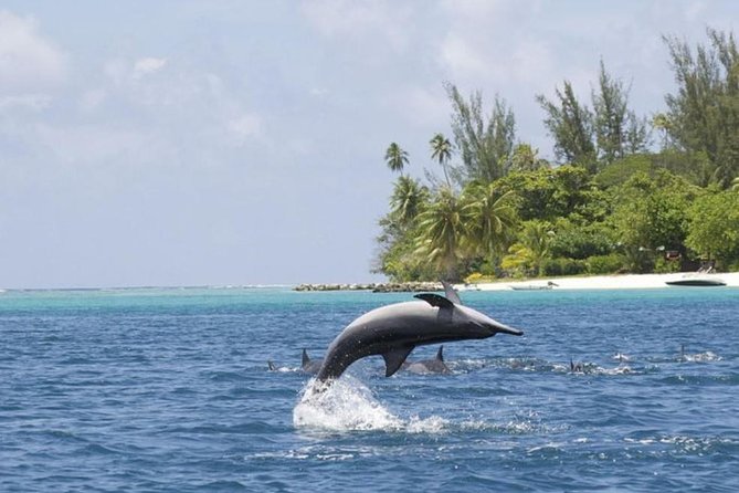 Private Speed Boat Charter with Experienced Captain - A private boat day built around your plans