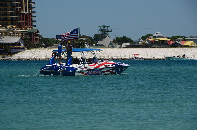 Private Speed Boat Charter with Experienced Captain - Wildlife sightings are possible, not promised
