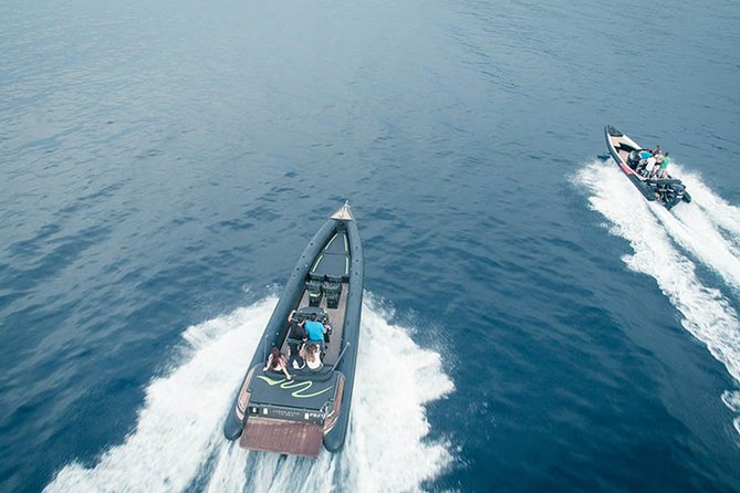 Private Speed Boat Day Cruise In Athens Riviera - Is the private Athens Riviera cruise worth booking?