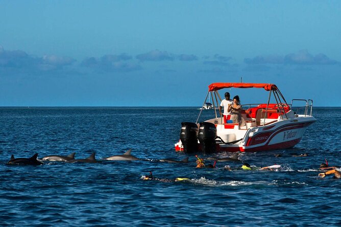 Private Speed Boat Experience To Dolphin House in Hurhgada - Key points to know before booking