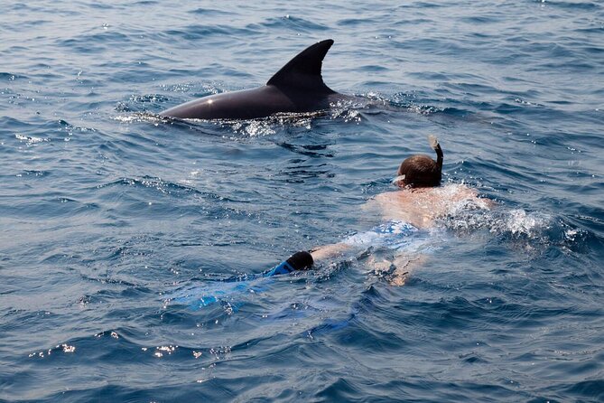 Private Speed Boat Experience To Dolphin House in Hurhgada - What the private format is really worth