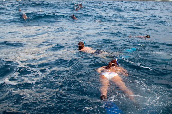 Private Speed Boat Experience To Dolphin House in Hurhgada - Snacks, equipment, and the small comforts