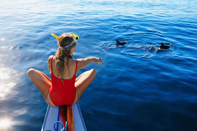 Private Speed Boat Experience To Dolphin House in Hurhgada - Practical points that can affect your day