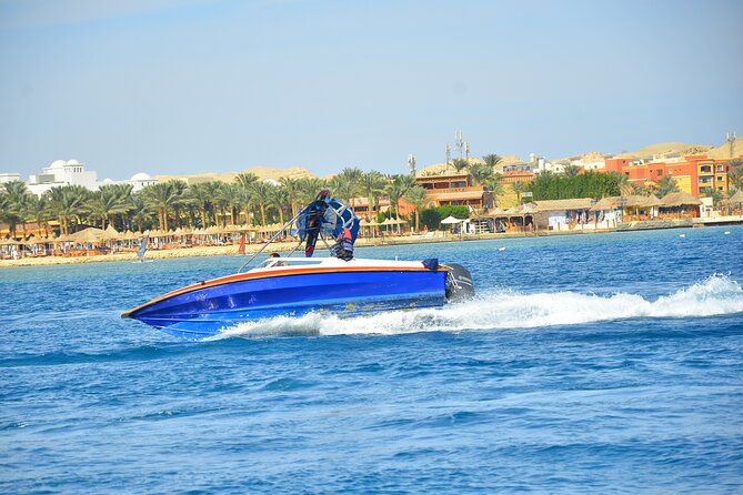Private Speed Boat Experience To Dolphin House in Hurhgada - Searching for dolphins in their natural habitat