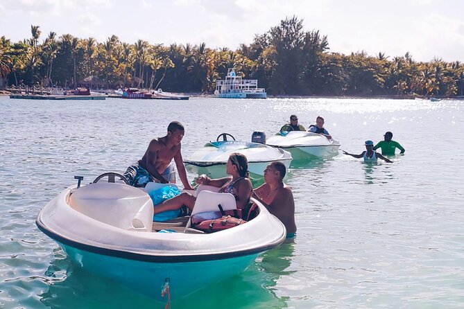 Private Speed Boat Experience with Snorkeling in Punta Cana - Dolphins, turtles, and the question of wildlife