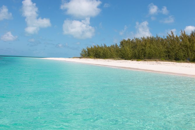 Private Speed Boat for Snorkeling or Fishing in Nassau - 34ft - Why a private Nassau boat charter works so well