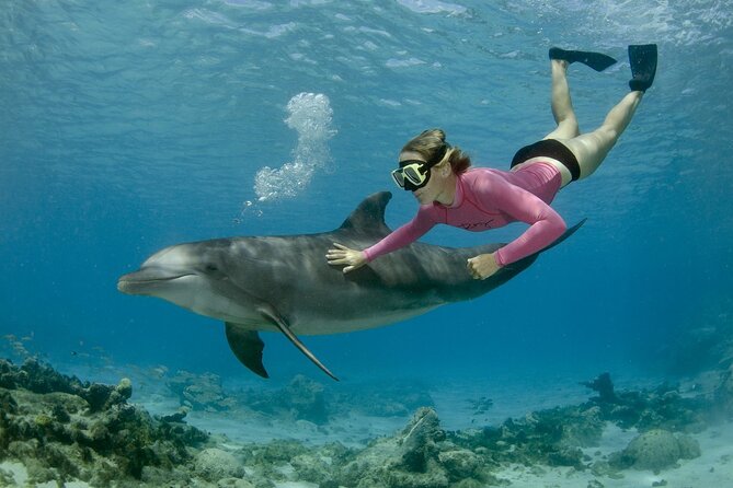Private Speed Boat Snorkeling with Dolphins Trip - Hurghada - Key points to know before booking