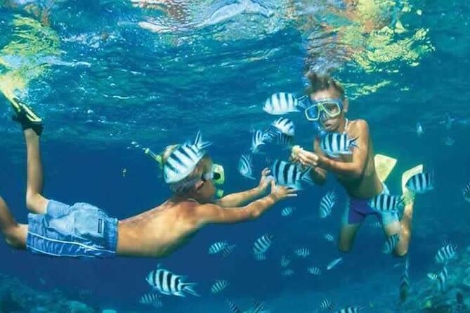 Private Speed Boat Snorkeling with Dolphins Trip - Hurghada - The captain and guide can shape the day