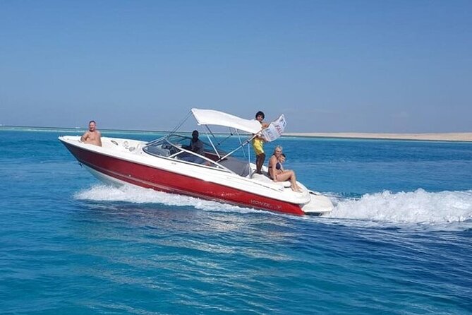 Private Speed Boat Snorkeling with Dolphins Trip - Hurghada - Dolphin watching without a guaranteed performance
