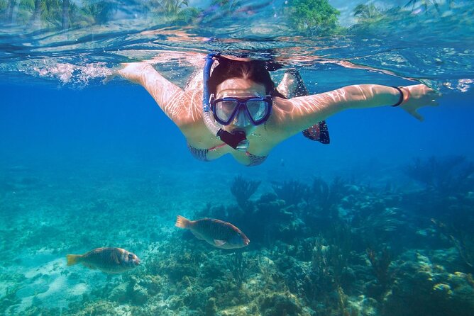 Private speed boat to Ile aux Cerfs full-day Incl: Lunch & Transfer - What the price includes, and what it does not