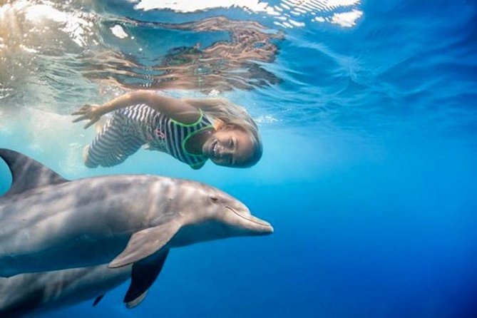 Private Speed Boat to Magawish Island's Hidden Wonders - Hurghada - The speed boat ride to Magawish Island