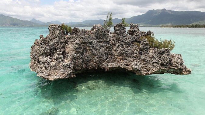 Private Speed Boat Tour and Dolphin Encounter at Ile aux Benitier - Key points to know before you book