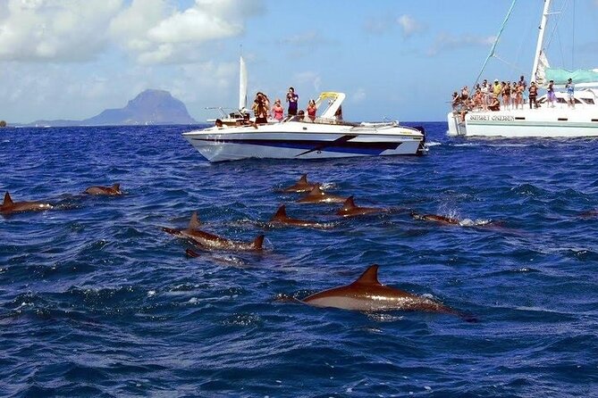 Private Speed Boat Tour and Dolphin Encounter at Ile aux Benitier - What the private price really covers