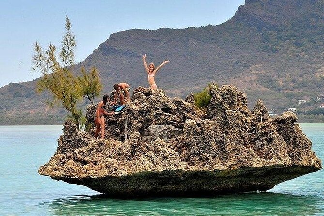 Private Speed Boat Tour and Dolphin Encounter at Ile aux Benitier - Practical details that affect the day