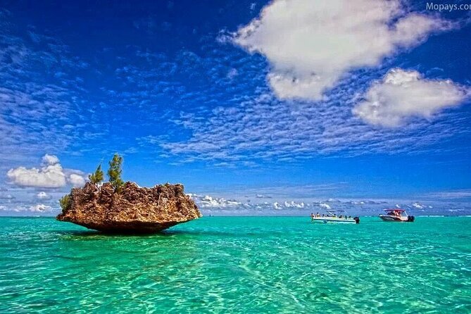 Private Speed Boat Tour and Dolphin Encounter at Ile aux Benitier - Who will enjoy this Mauritius boat day