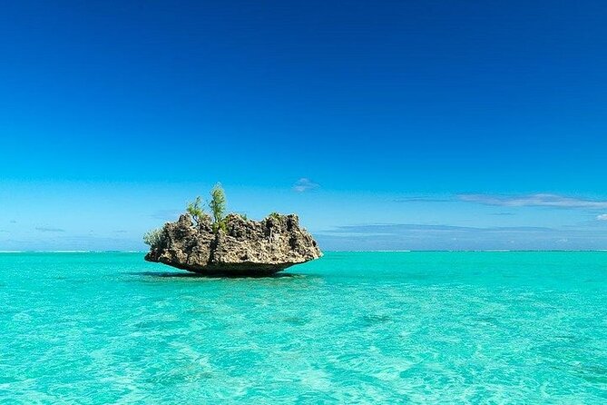 Private Speed Boat Tour and Dolphin Encounter at Ile aux Benitier - Should you book the Ile aux Benitiers tour?