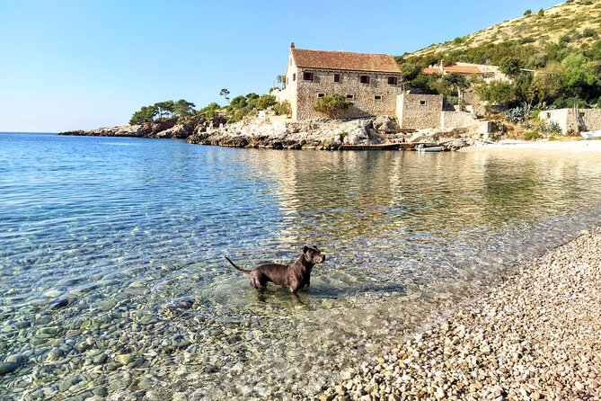 Private Speed Boat Tour of Hvar South Shore & Pakleni islands - Palmizana gives you a proper island break